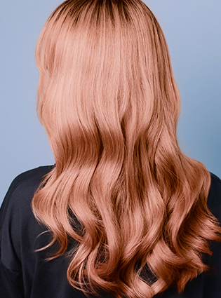 百美汇技能培训